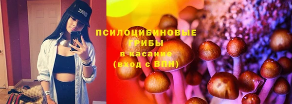 бутик Бородино