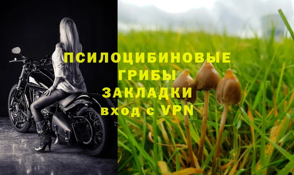 бутик Бородино