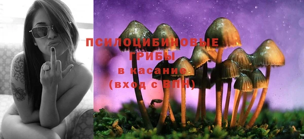 mdpv Бронницы