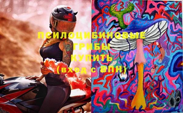 mdpv Бронницы